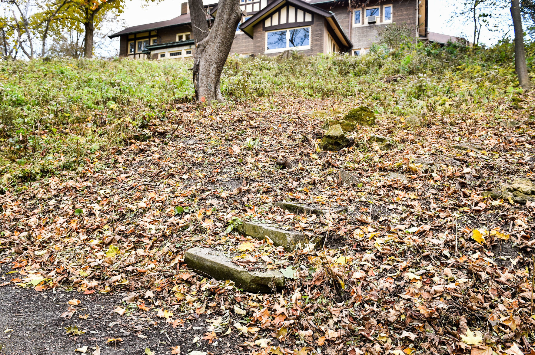 110819-qct-qca-hauberg-013a.JPG